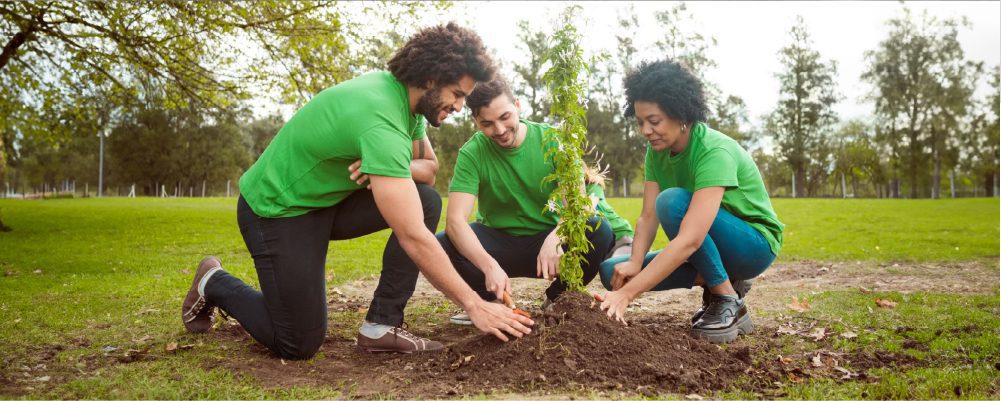 A group of people plant a tree to offset CO2.